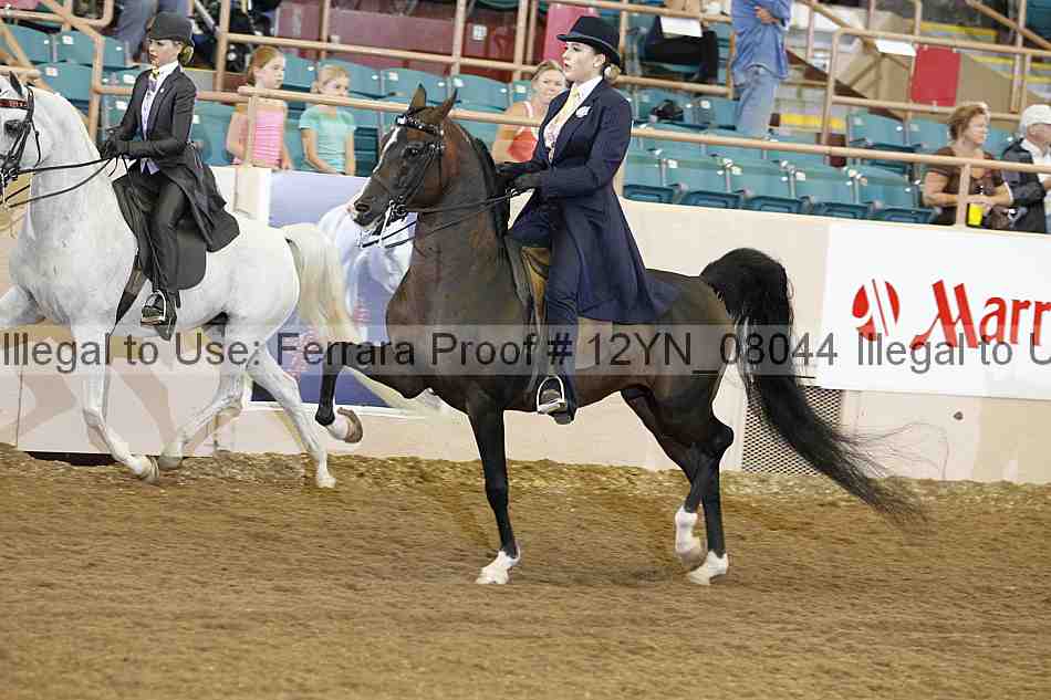 Proof 12yn_08044