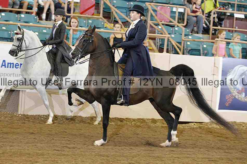 Proof 12yn_08045