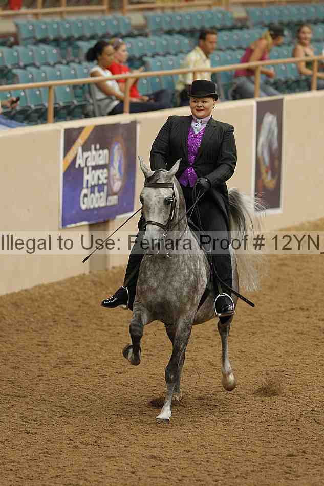 Proof 12yn_08046