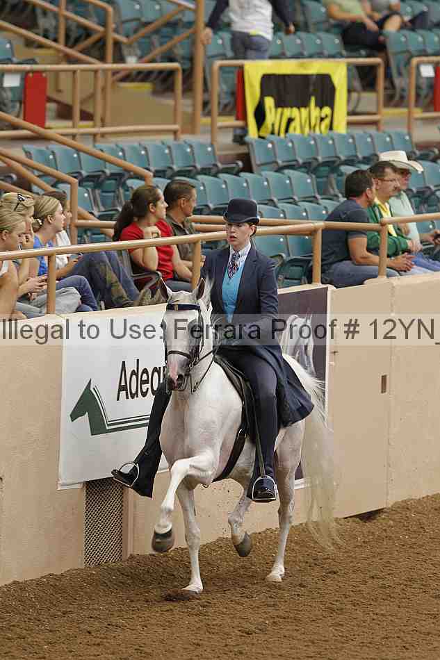 Proof 12yn_08047