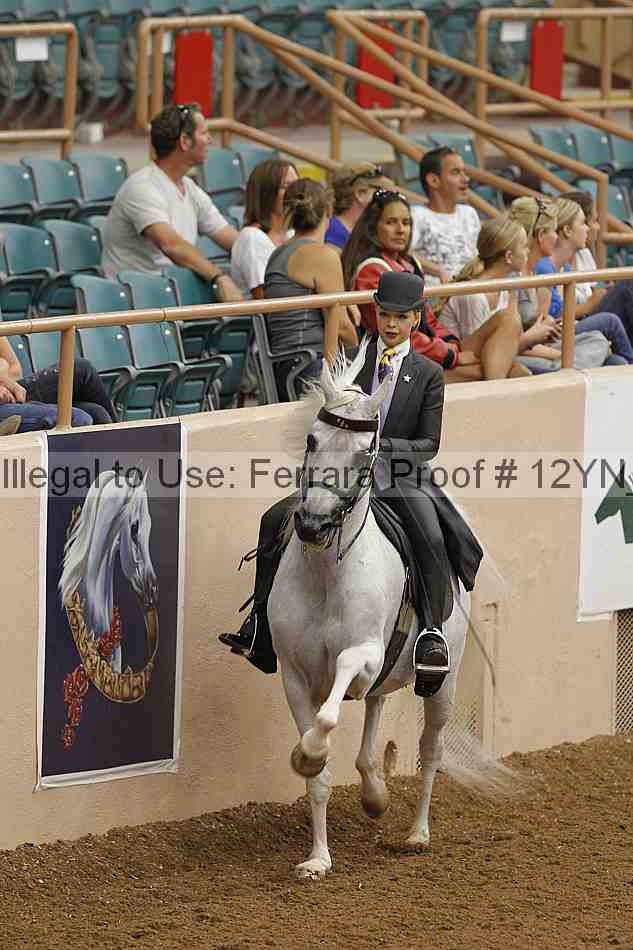Proof 12yn_08048