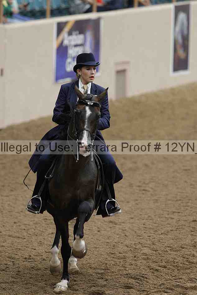 Proof 12yn_08049