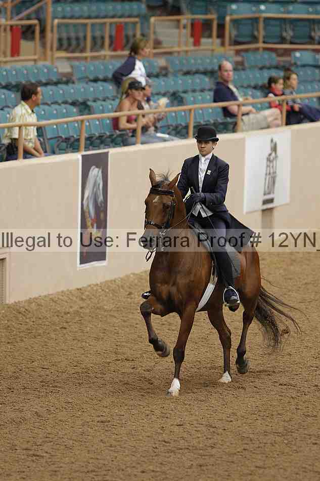Proof 12yn_08050