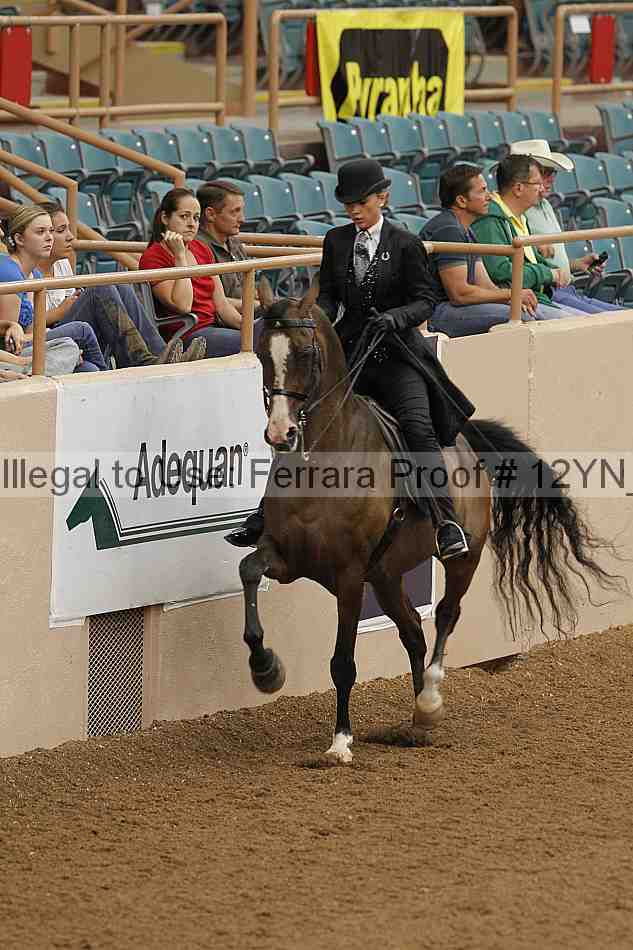 Proof 12yn_08051