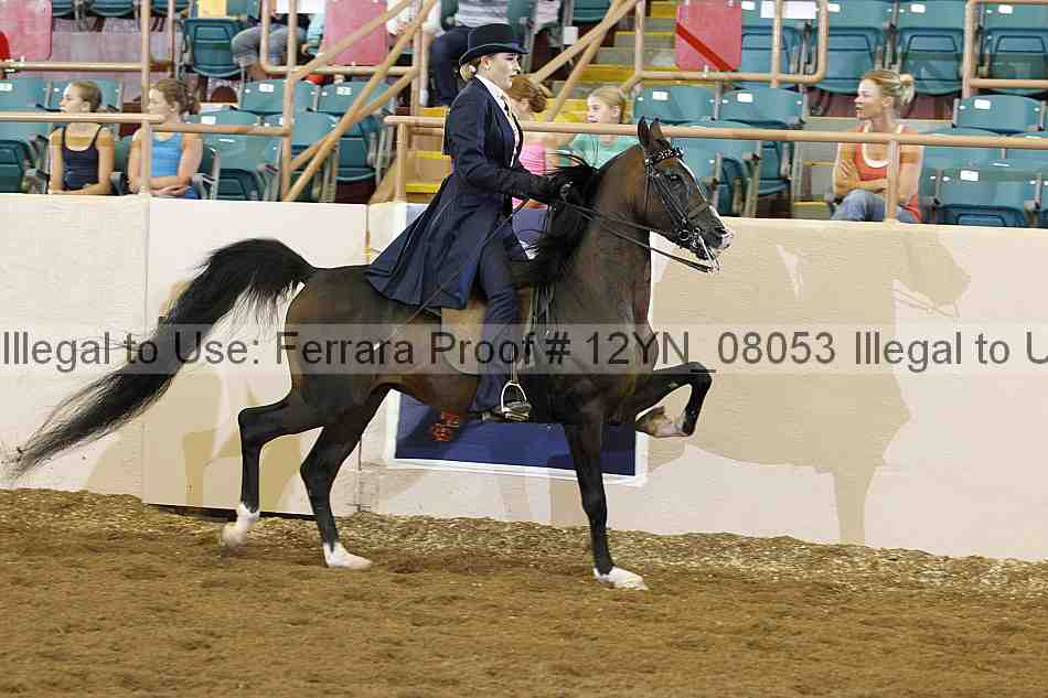 Proof 12yn_08053