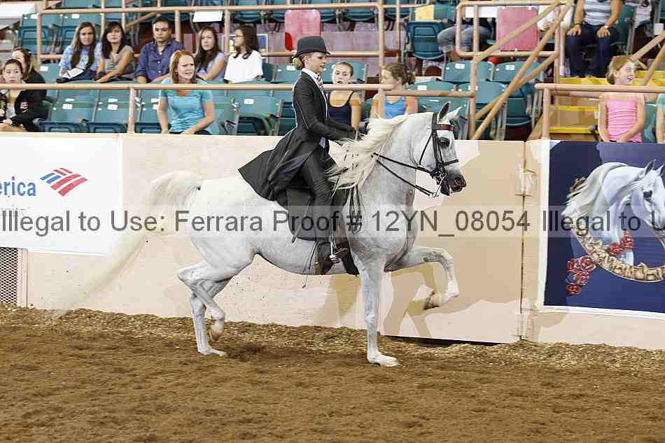 Proof 12yn_08054