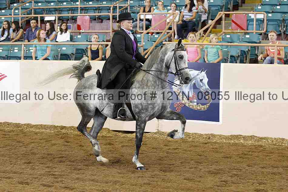 Proof 12yn_08055