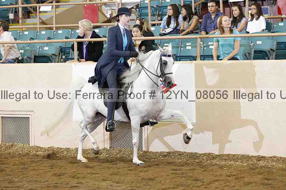 Proof 12yn_08056