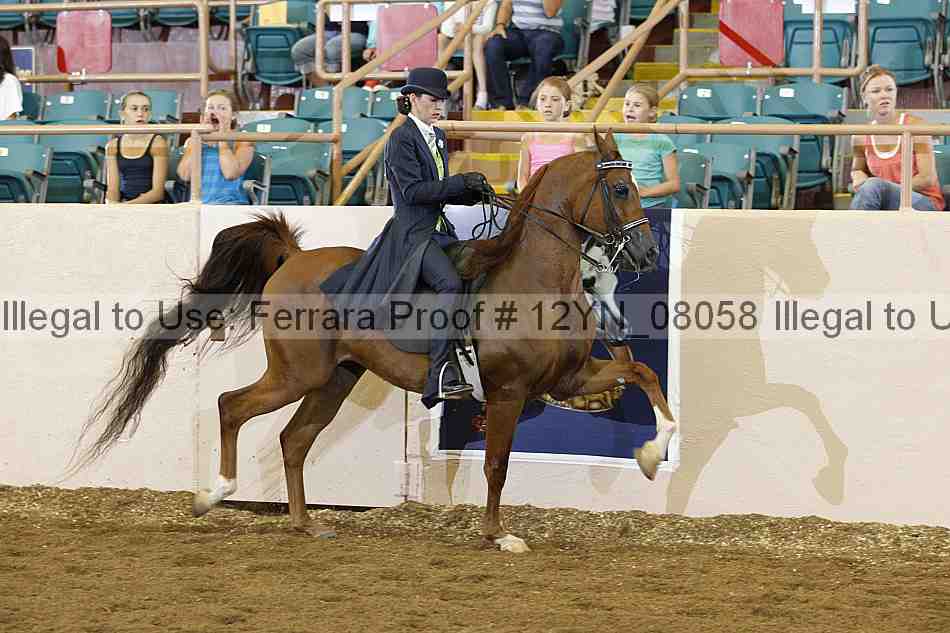 Proof 12yn_08058