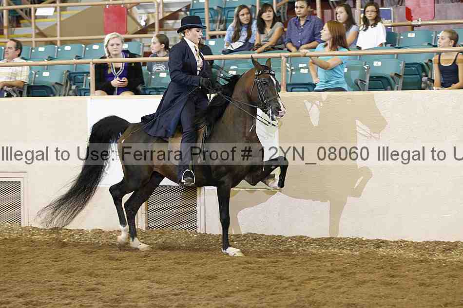 Proof 12yn_08060