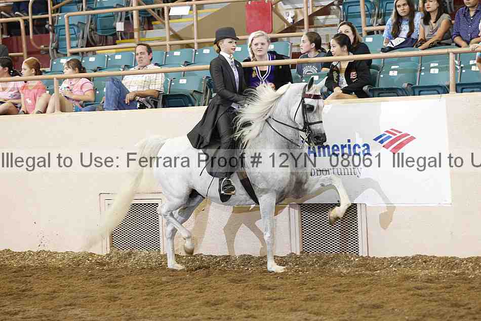Proof 12yn_08061