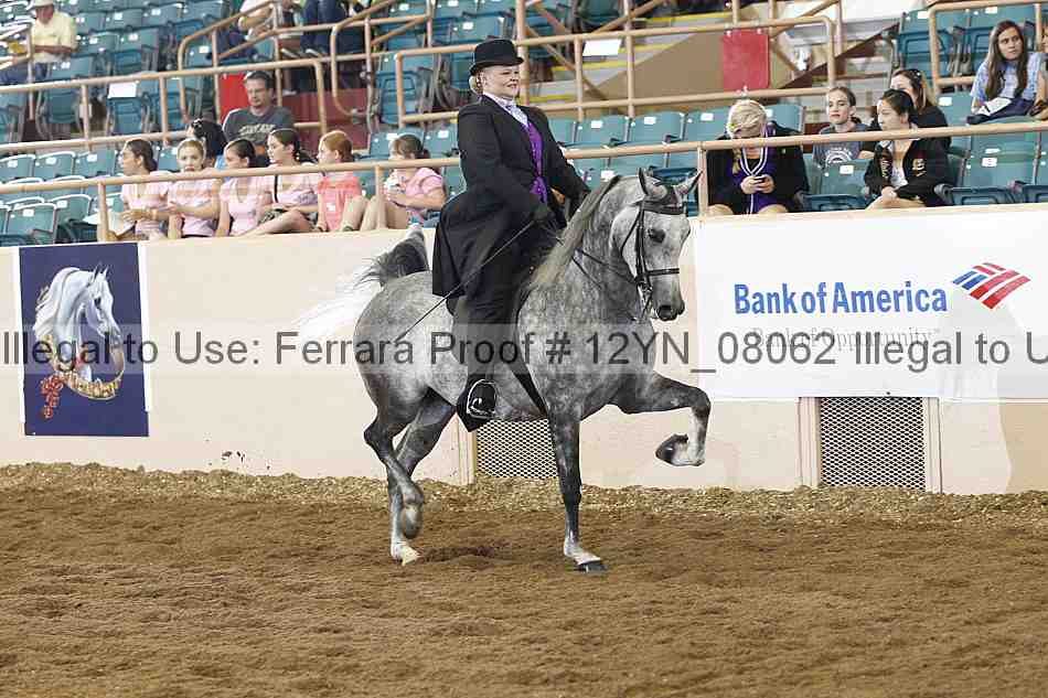 Proof 12yn_08062