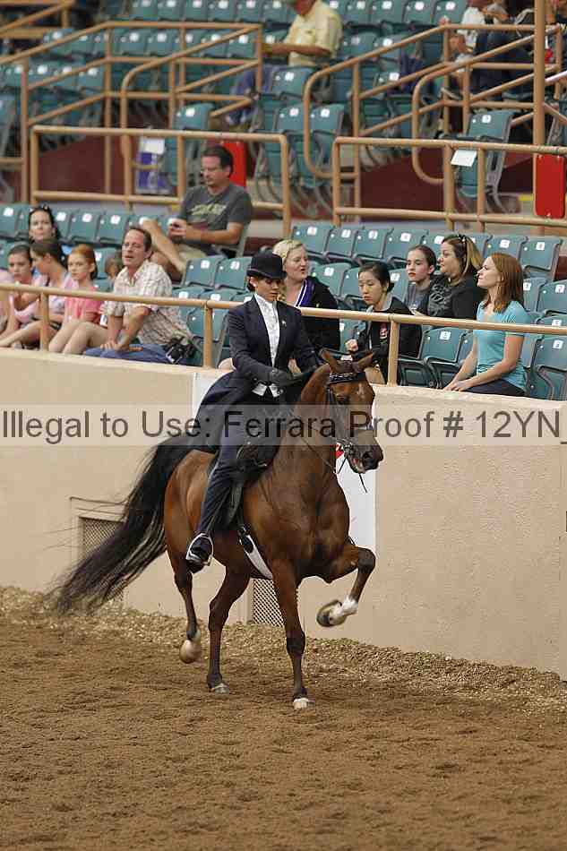Proof 12yn_08063