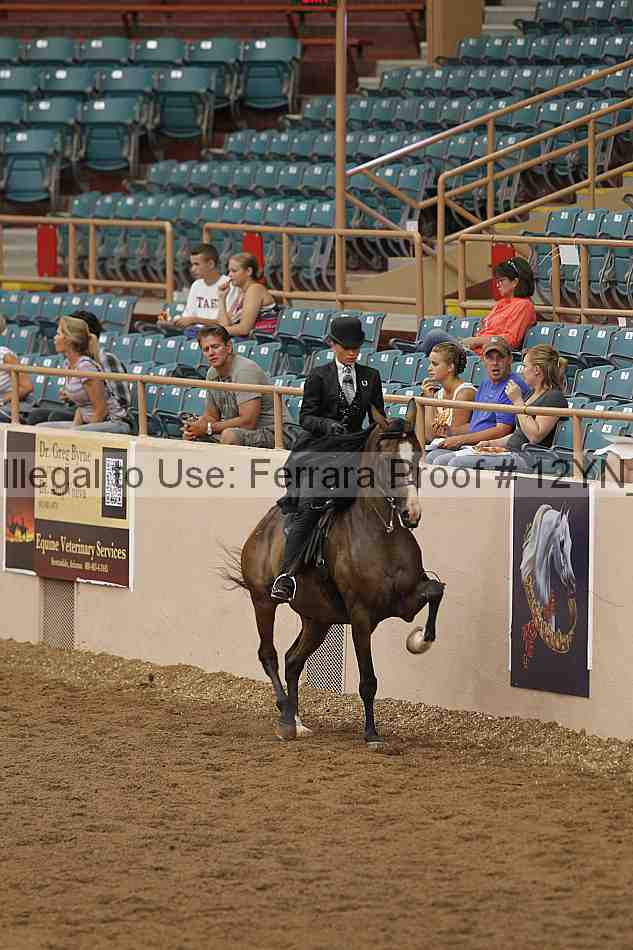 Proof 12yn_08064