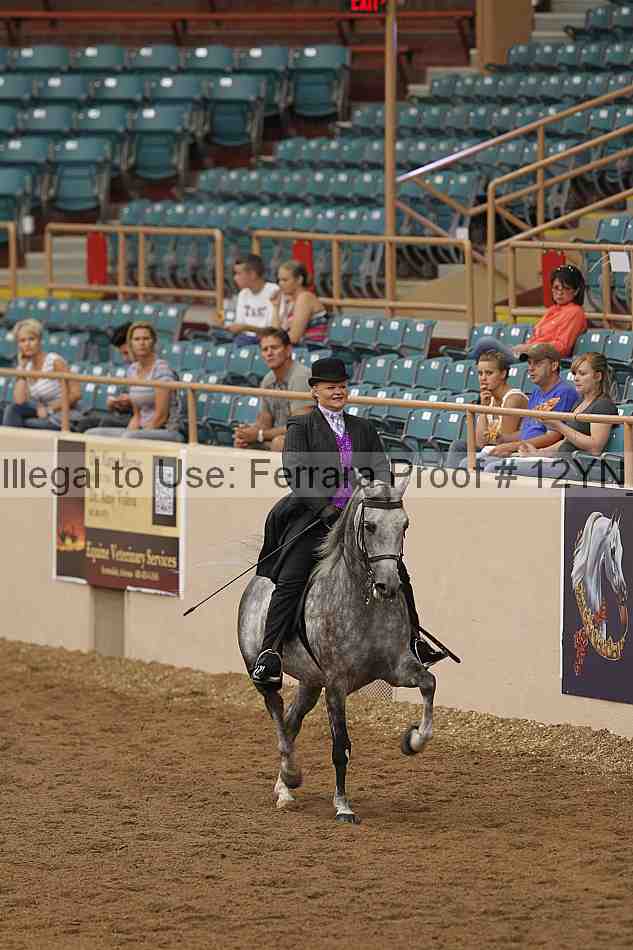 Proof 12yn_08067