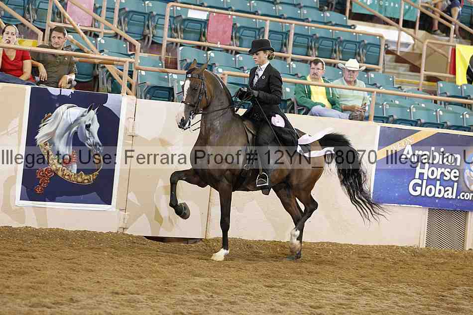Proof 12yn_08070