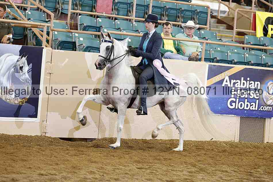 Proof 12yn_08071