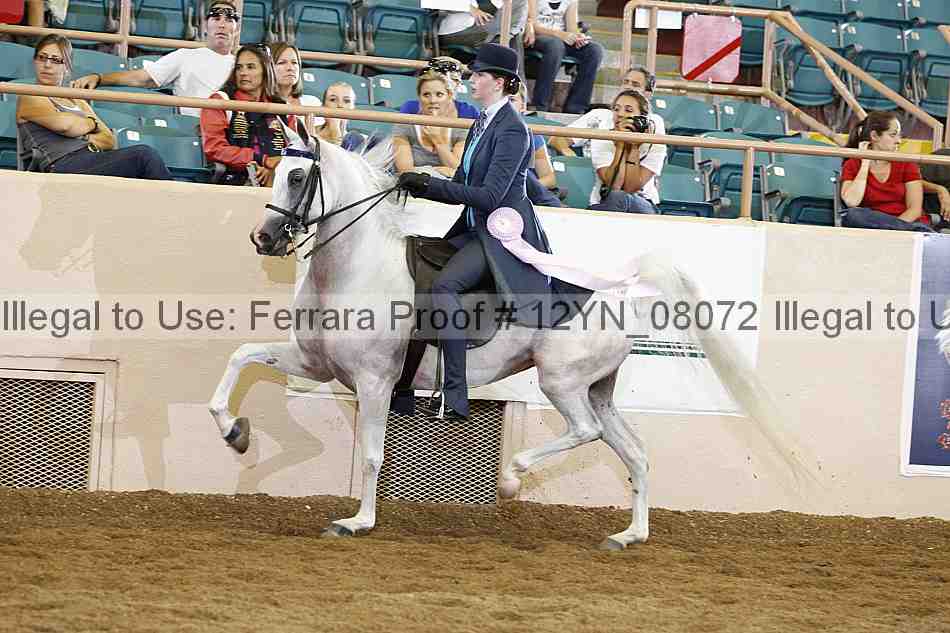Proof 12yn_08072