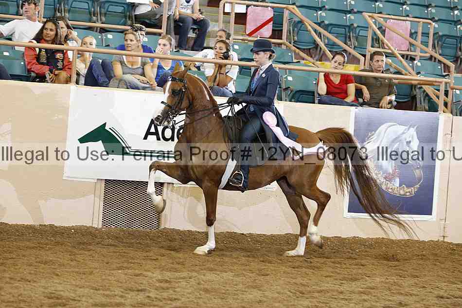Proof 12yn_08073