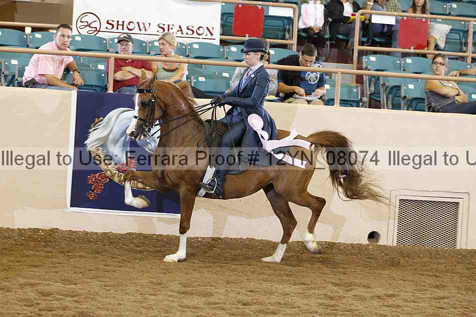 Proof 12yn_08074
