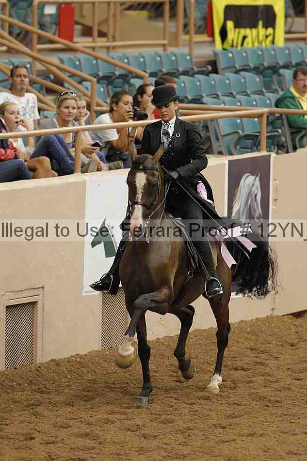 Proof 12yn_08075