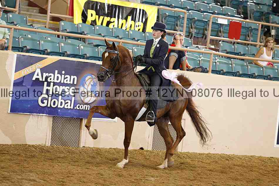 Proof 12yn_08076