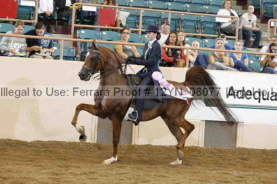 Proof 12yn_08077