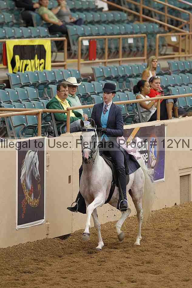 Proof 12yn_08078