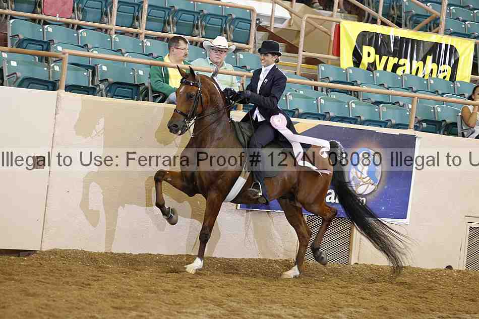 Proof 12yn_08080