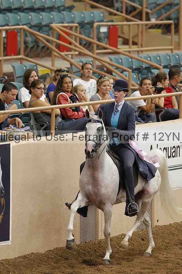 Proof 12yn_08081