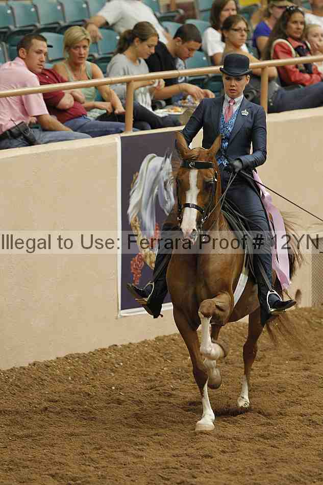 Proof 12yn_08083