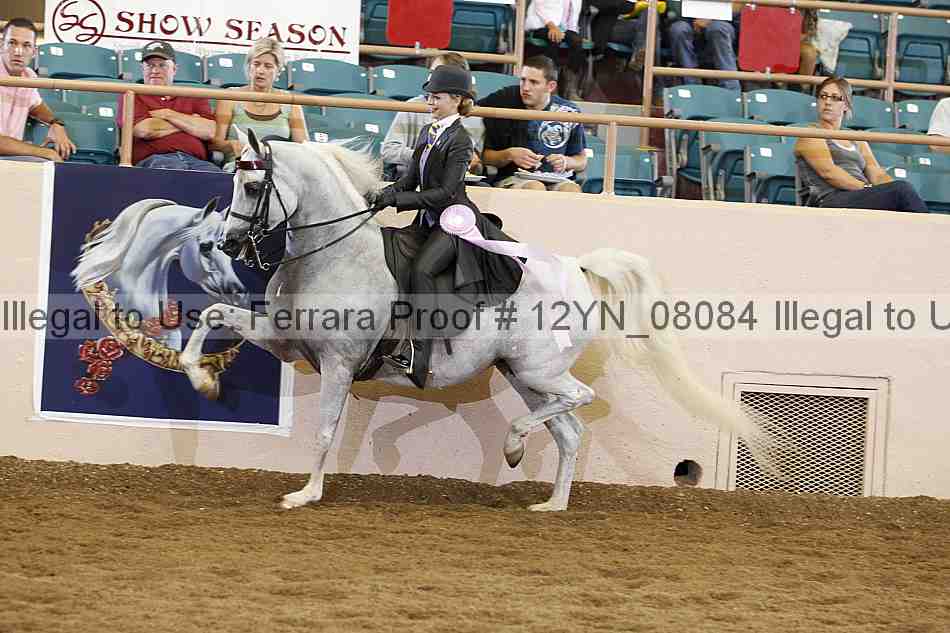 Proof 12yn_08084