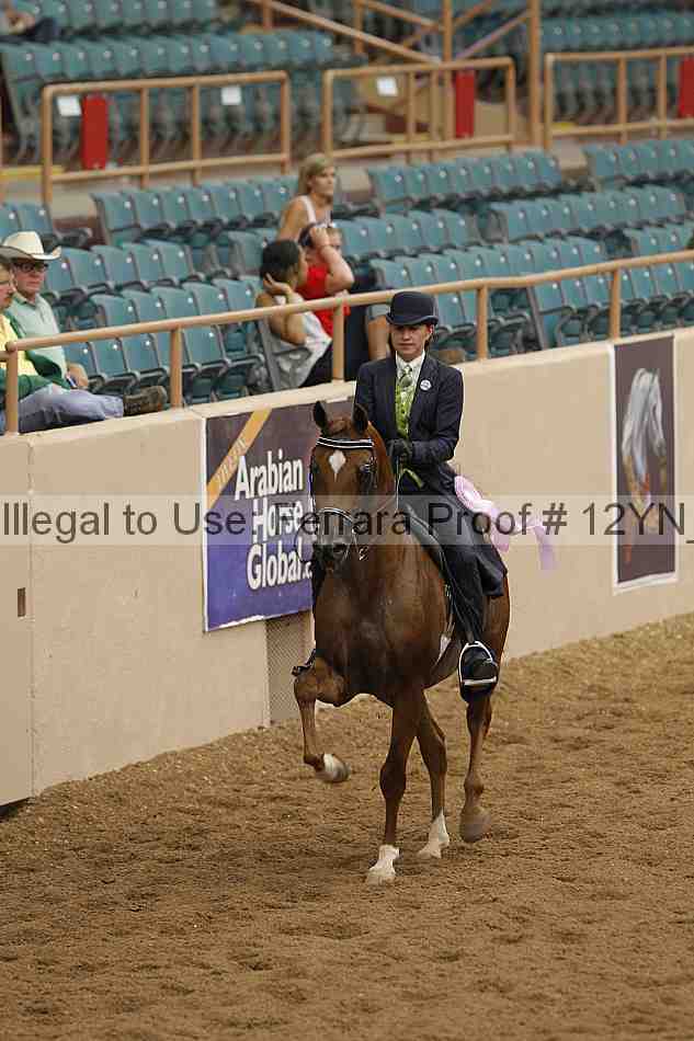 Proof 12yn_08085