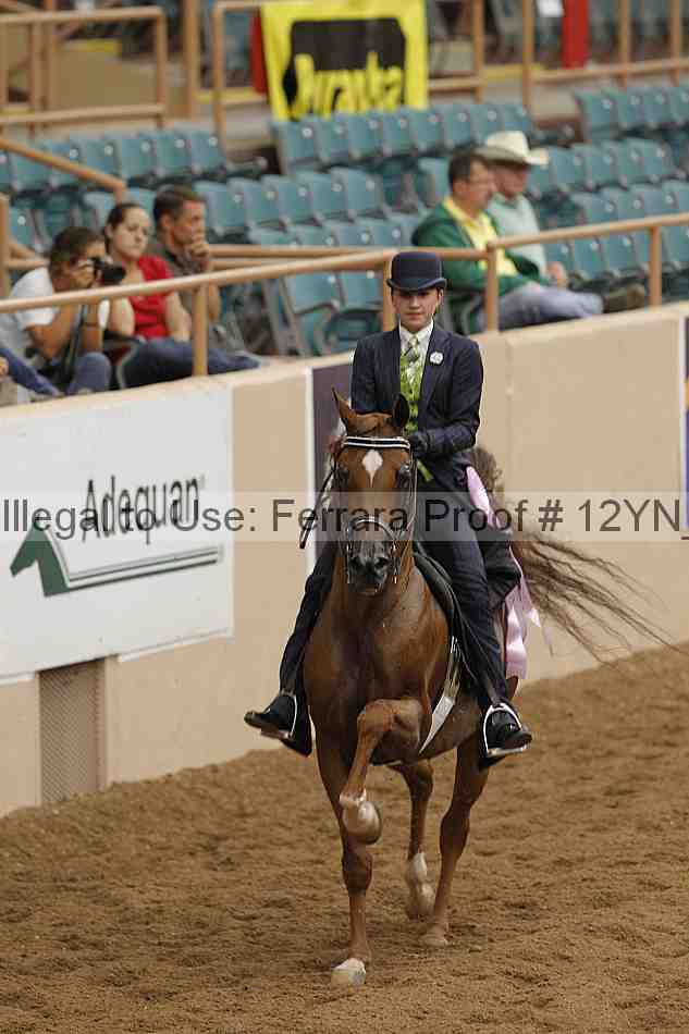 Proof 12yn_08087