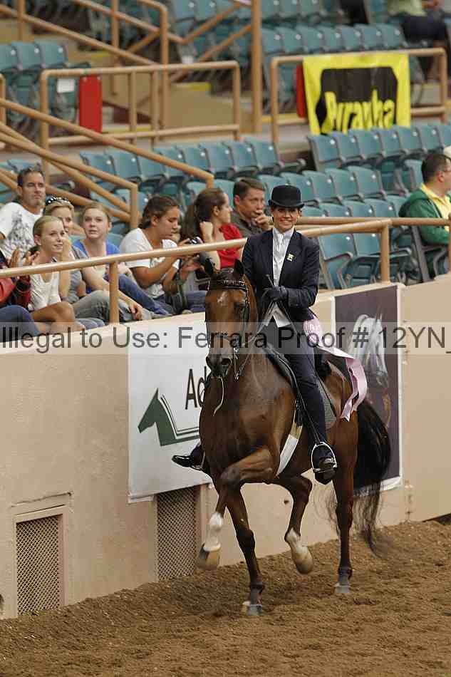 Proof 12yn_08090