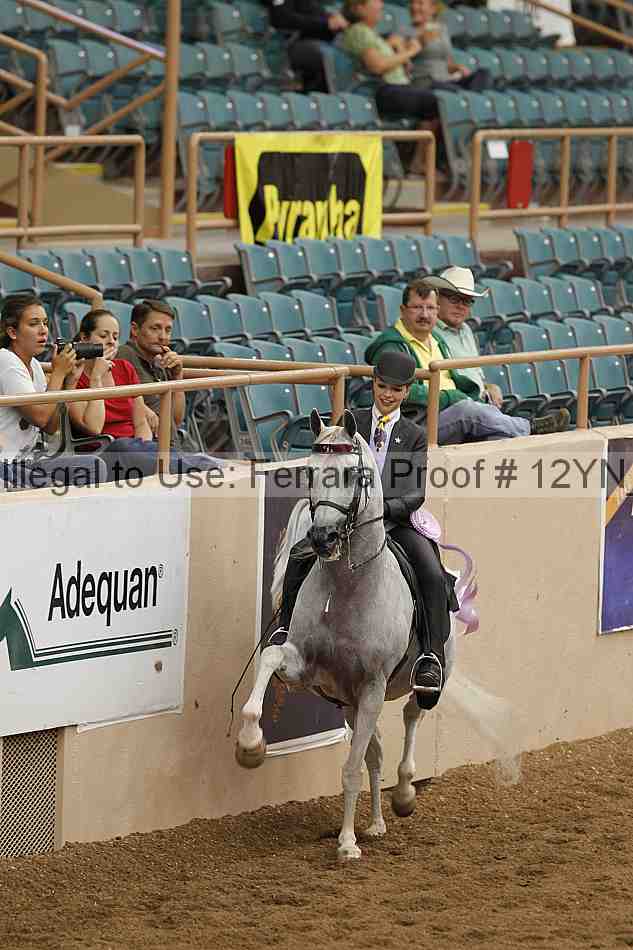 Proof 12yn_08091