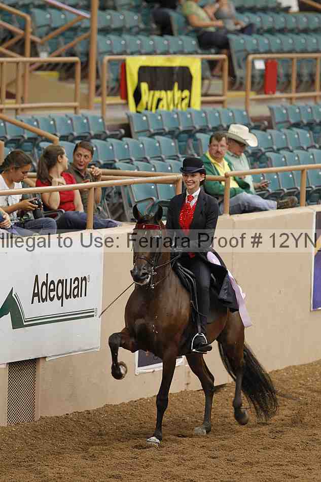 Proof 12yn_08093
