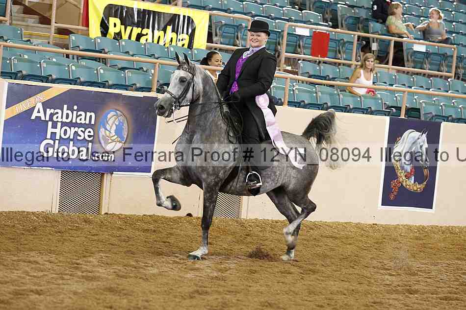 Proof 12yn_08094