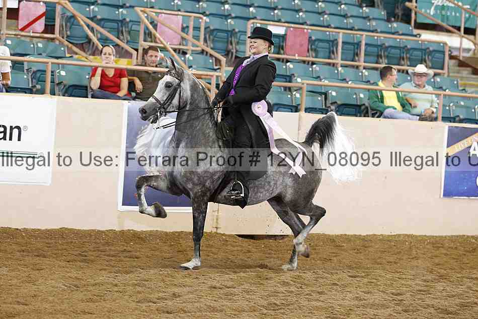 Proof 12yn_08095