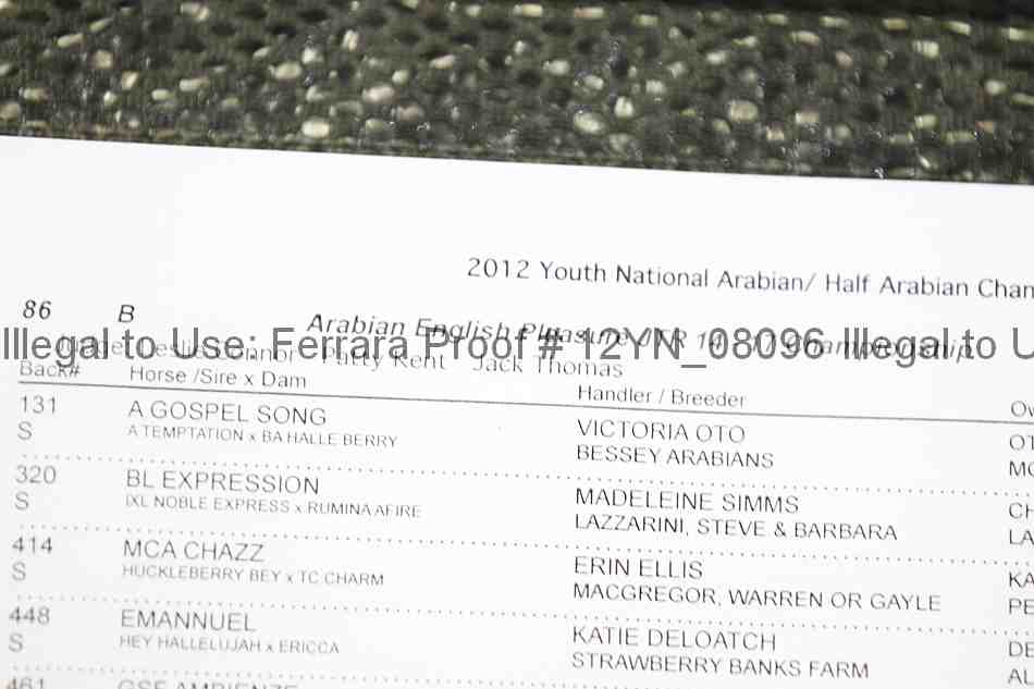 Proof 12yn_08096