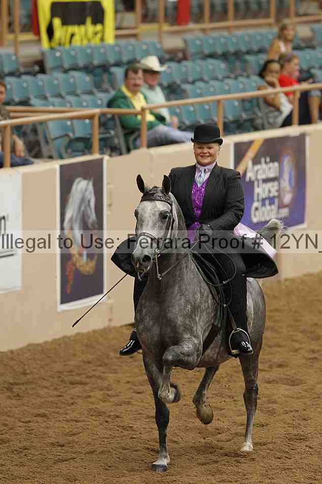 Proof 12yn_08098