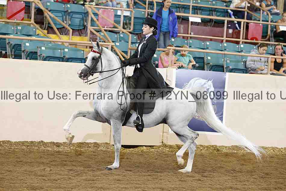 Proof 12yn_08099