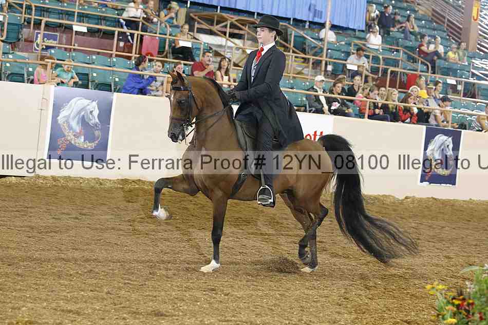 Proof 12yn_08100