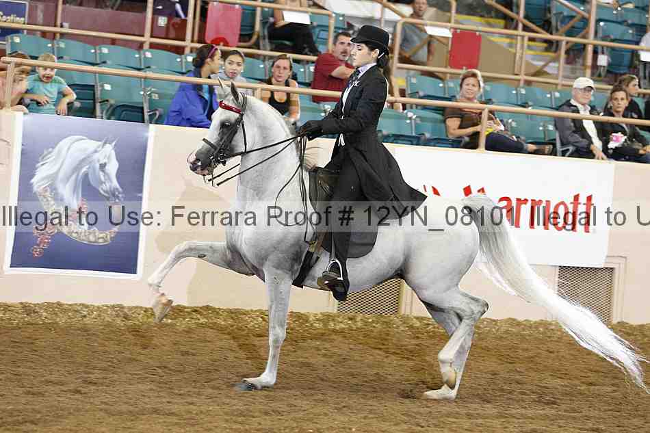 Proof 12yn_08101