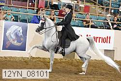 12yn_08101 proof