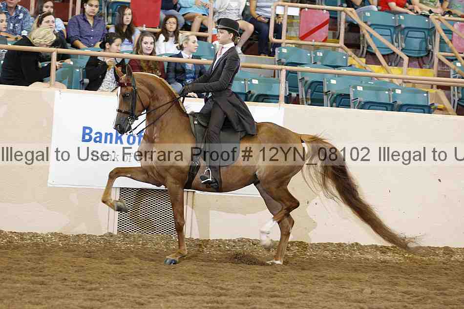 Proof 12yn_08102
