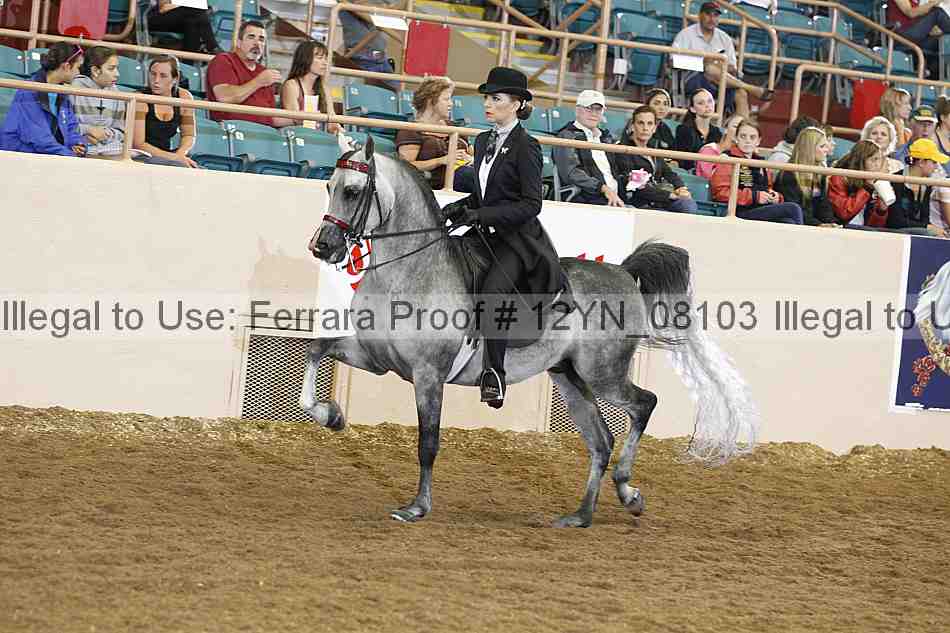 Proof 12yn_08103