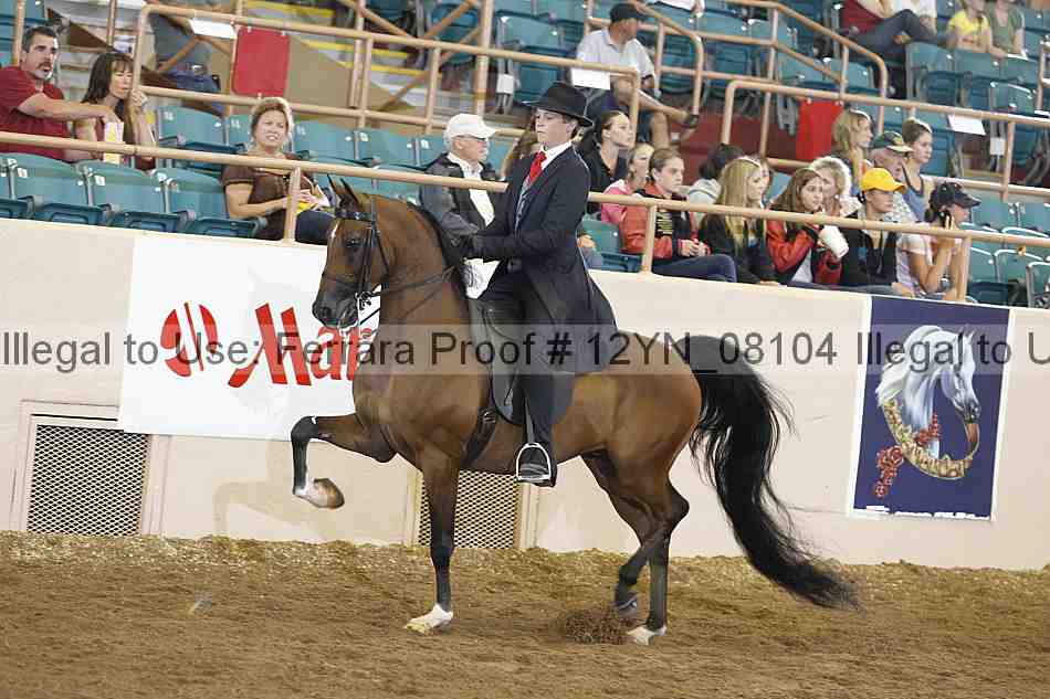 Proof 12yn_08104