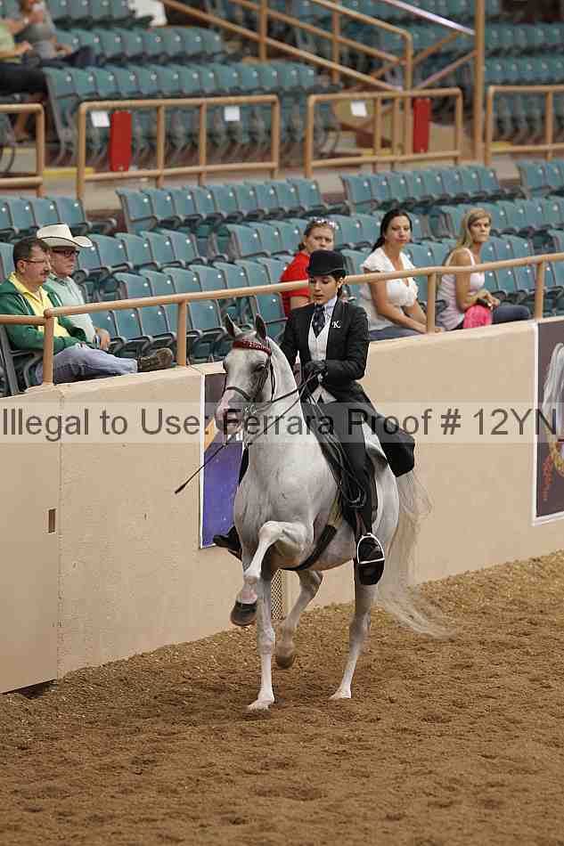 Proof 12yn_08105