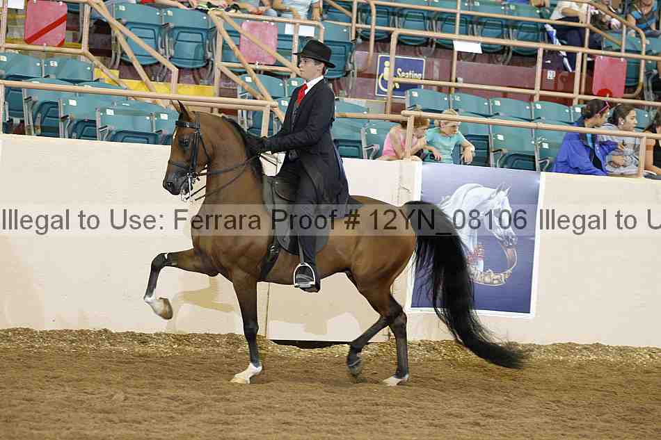 Proof 12yn_08106